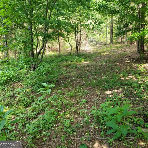 544 B Johnson Rd SE, Fairmount, GA 30139 photo 4