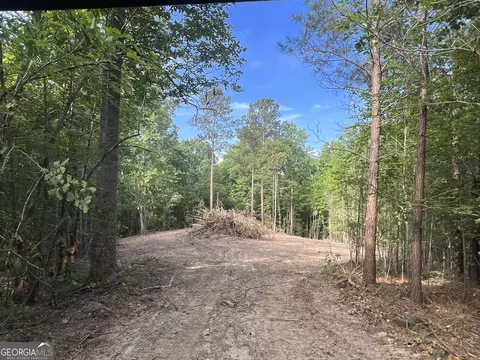 lot2 Gum Creek Airport Rd #2, Roopville, GA 30170