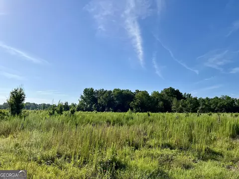 0 Tucker Grove Church Rd, Wrightsville, GA 31096