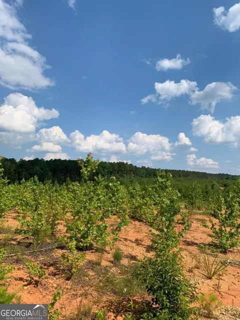0 County Road 65, Fruithurst, AL 36262 photo 7