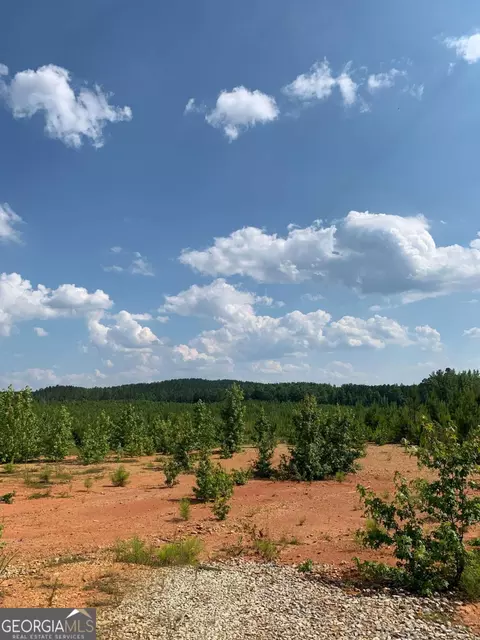 0 County Road 65, Fruithurst, AL 36262 photo 8