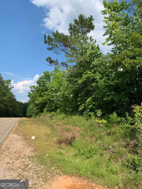 0 County Road 65, Fruithurst, AL 36262 photo 6