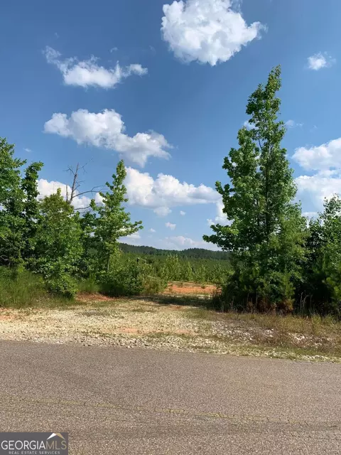 0 County Road 65, Fruithurst, AL 36262 photo 3