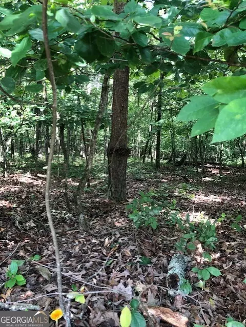 lot3 Daniel Rd, Demorest, GA 30535 photo 2