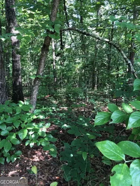 lot3 Daniel Rd, Demorest, GA 30535 photo 5