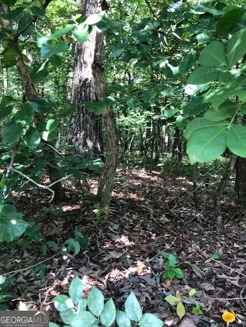 lot3 Daniel Rd, Demorest, GA 30535 photo 3