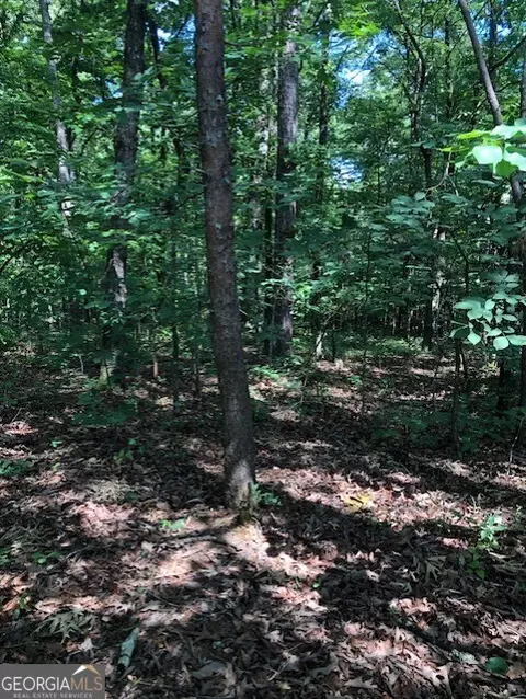 lot4 Daniel Rd, Demorest, GA 30535 photo 3