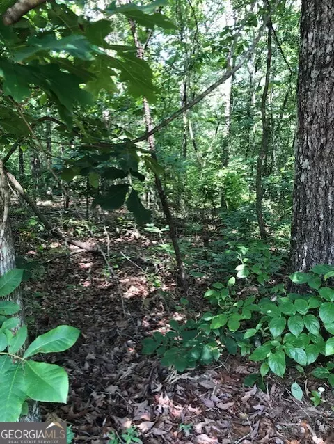 lot4 Daniel Rd, Demorest, GA 30535 photo 6