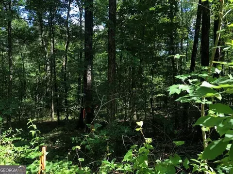 lot5 Daniel Rd, Demorest, GA 30535 photo 2