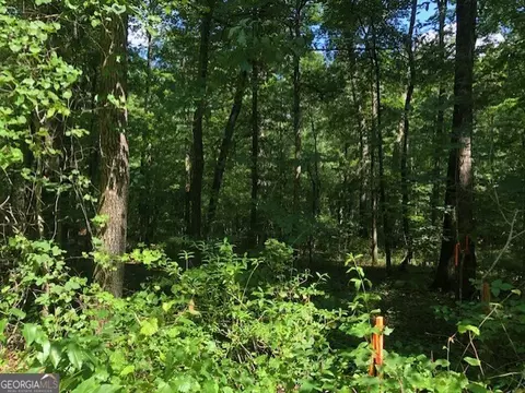 lot5 Daniel Rd, Demorest, GA 30535