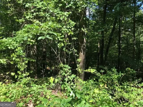 lot5 Daniel Rd, Demorest, GA 30535 photo 3