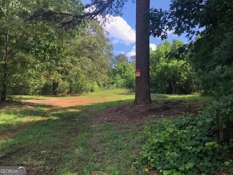 lot6 Highway 17, Demorest, GA 30535