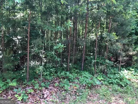 lot7 Highway 17, Demorest, GA 30535
