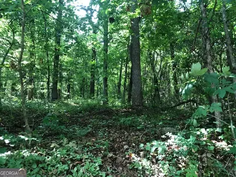 lot8 Daniel Rd, Demorest, GA 30535 photo 3
