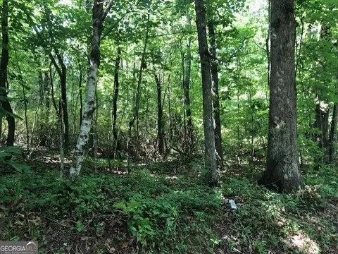 lot8 Daniel Rd, Demorest, GA 30535 photo 2