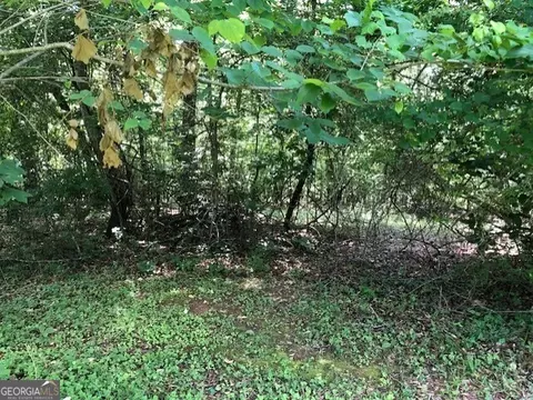 lot11 Daniel Rd, Demorest, GA 30535 photo 13
