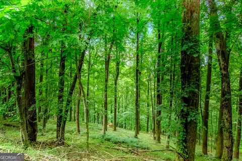 Lt M165 Walnut Ridge, Ellijay, GA 30540