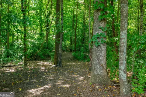 430 Pringle Dr, Suwanee, GA 30024 photo 39