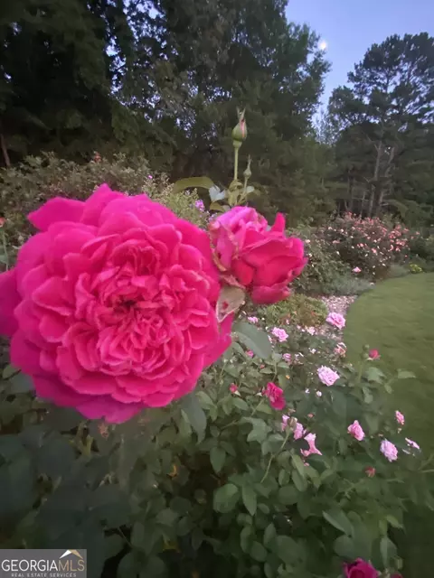 Other - 744 Grant Rd, Brooks, GA 30205 photo 14 of 15