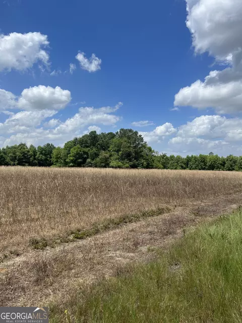0 Stony Pond Rd, Sylvania, GA 30467