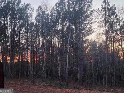 655 Parks Rd, Forsyth, GA 31029