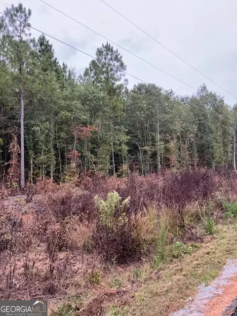 655 Parks Rd, Forsyth, GA 31029 photo 8