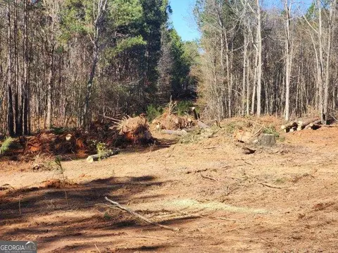 655 Parks Rd, Forsyth, GA 31029 photo 6