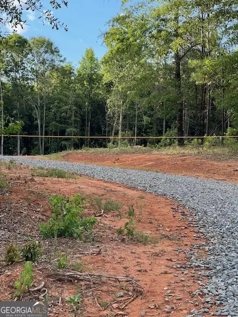 655 Parks Rd, Forsyth, GA 31029 photo 3