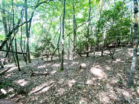 Ll322 Warnock Mountain Acres Lane, Blairsville, GA 30512