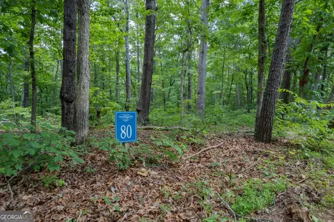 Lt 80 Doll Mountain Road, Ellijay, GA 30540