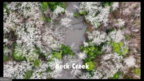 0 Taylor Cemetery Rd #60.68 ACRES, Ellaville, GA 31806