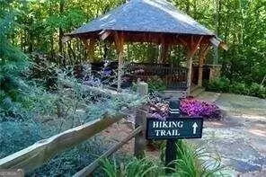301 Sharp Mountain Pkwy, Jasper, GA 30143 photo 40