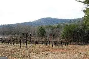 301 Sharp Mountain Pkwy, Jasper, GA 30143 photo 50