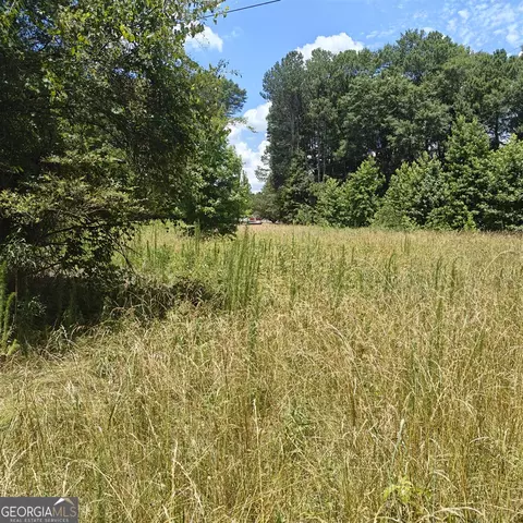 11059 Turner Rd, Hampton, GA 30228