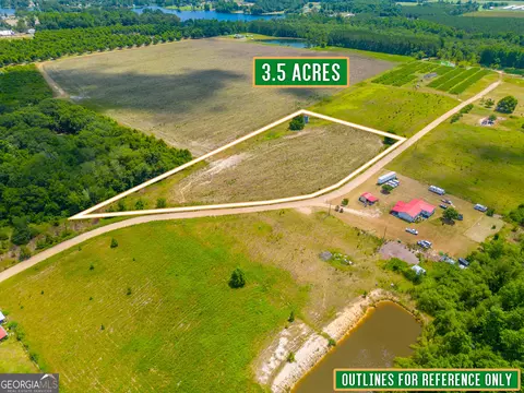 Tract 3, Baxley, GA 31513 photo 2