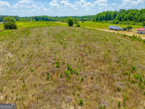 Tract 3, Baxley, GA 31513 photo 7