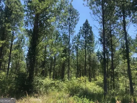 0 Croxton Xrds, Smithville, GA 31787