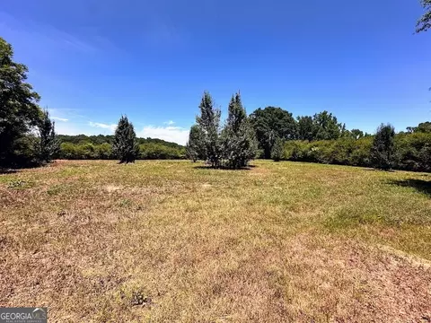 20709 Main St, Ranburne, AL 36273 photo 50