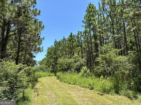 007 Case Rd, Slocumb, AL 36375
