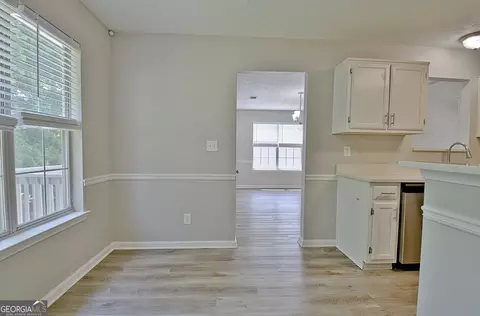Other - 10592 Marigold Ct, Hampton, GA 30228 photo 8 of 19
