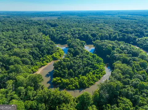 0 Hwy 96 W, Dry Branch, GA 31020