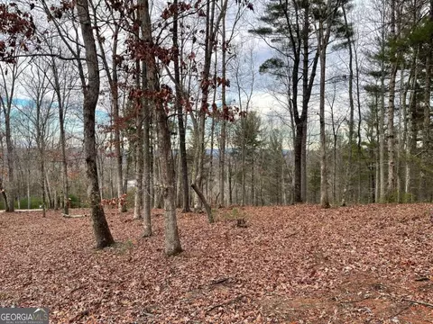 lot16 Apple Blossom Rd, Blairsville, GA 30512