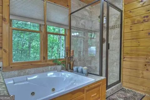 Bath - 263 Cabbage Patch Rd #292, Morganton, GA 30560 photo 5 of 11