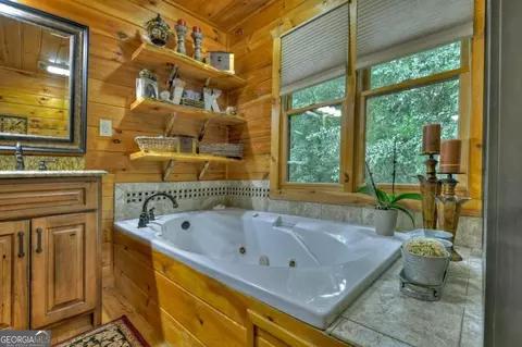 Bath - 263 Cabbage Patch Rd #292, Morganton, GA 30560 photo 4 of 11