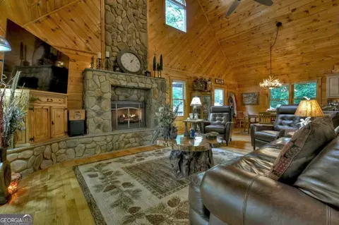 Living - 263 Cabbage Patch Rd #292, Morganton, GA 30560 photo 3 of 5