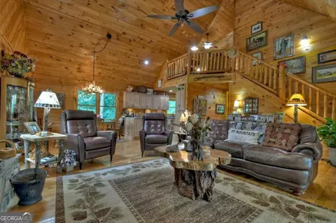 Living - 263 Cabbage Patch Rd #292, Morganton, GA 30560 photo 2 of 5