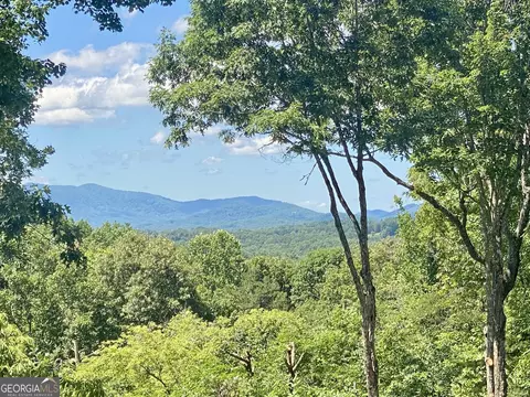 Other - 263 Cabbage Patch Rd #292, Morganton, GA 30560 photo 1 of 13