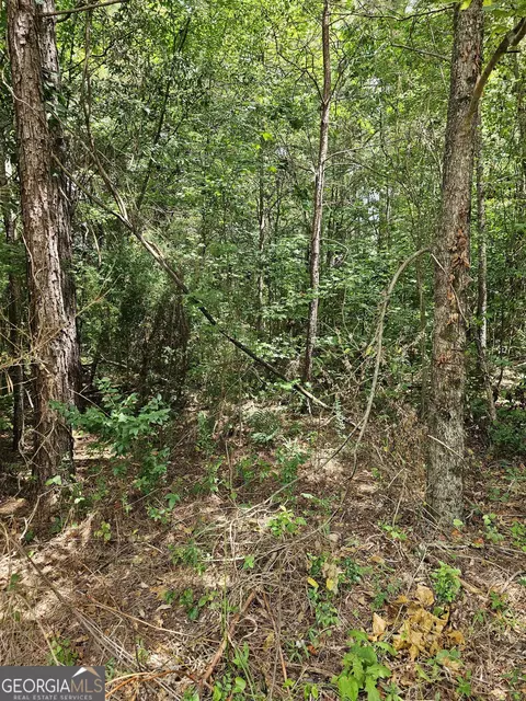 327 Jeffers Rd, Buchanan, GA 30113