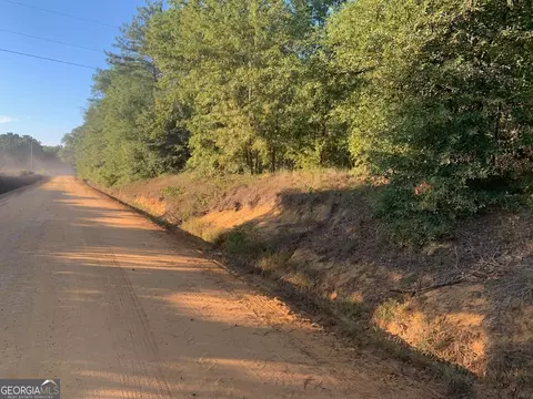 0 Laidler Rd, Hawkinsville, GA 31036
