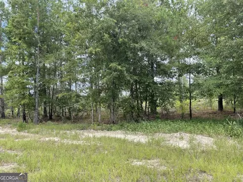 0 Gooch R Rozier Rd #LOT G /  H, Eastman, GA 31023